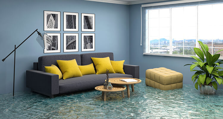 Phoenix Water Damage Restoration