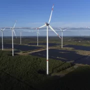 renewable energy leadership search firm