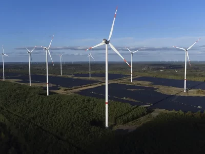 renewable energy leadership search firm