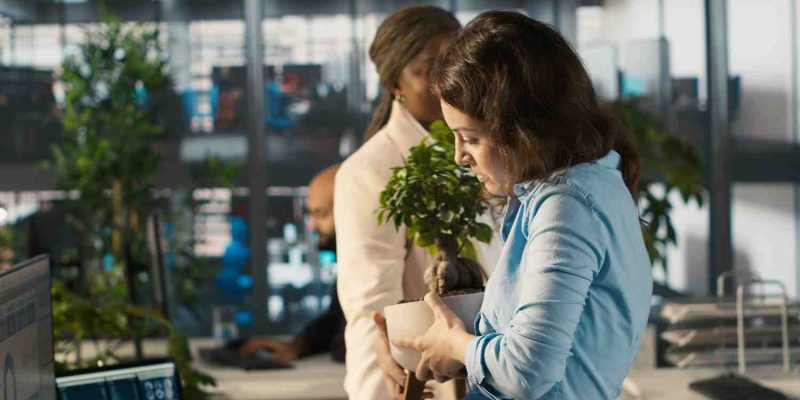 How Green Energy Recruitment Is Transforming the Global Job Market