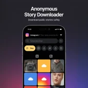Anonymous Instagram Story Download