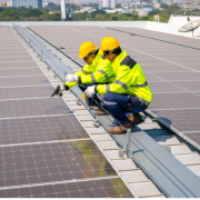 Industrial Solar Plant Distributor