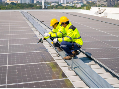Industrial Solar Plant Distributor