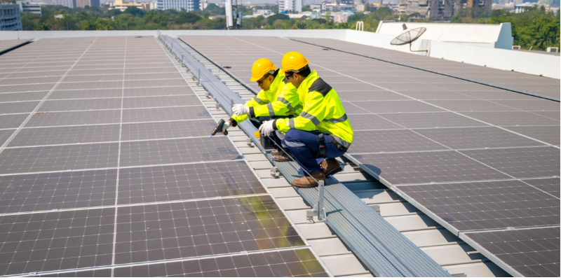 Industrial Solar Plant Distributor